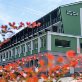 Wellness Hotel GREEN PARADISE, Březová U Sokolova